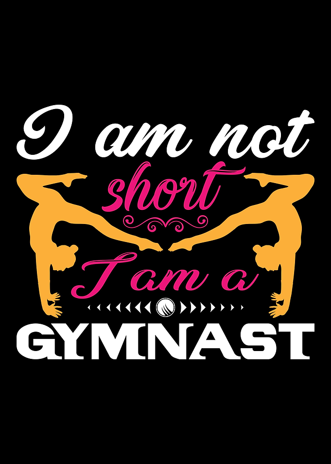 gymnastics Gym Fitness