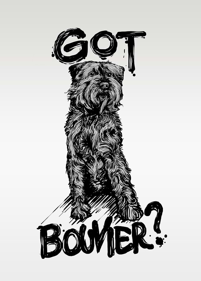 GOT BOUVIER DOG