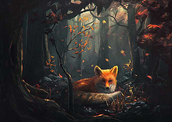 Animal Fox