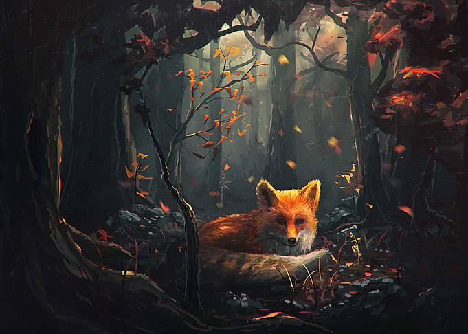 Animal Fox