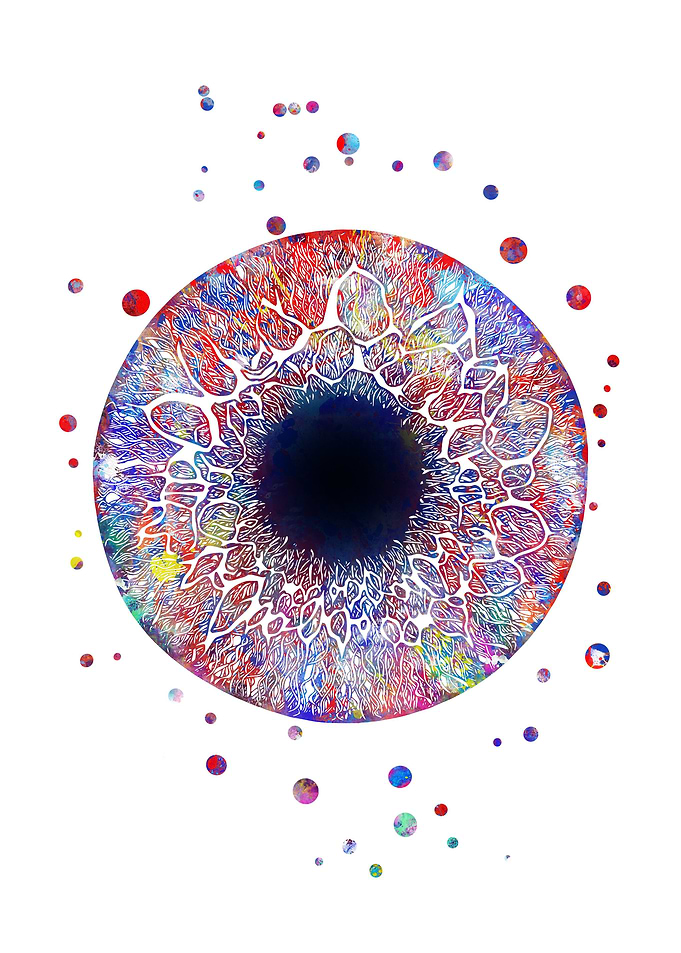 Human eye