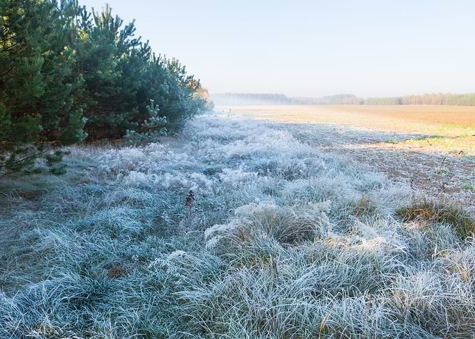 Frosty Frost Rural Season