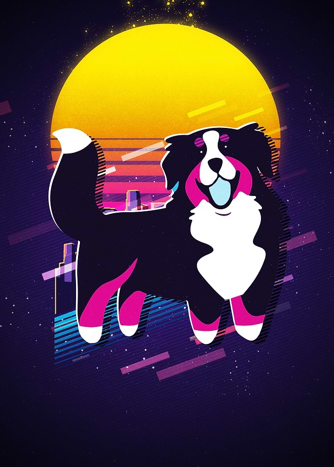 Berner Mountain Dog