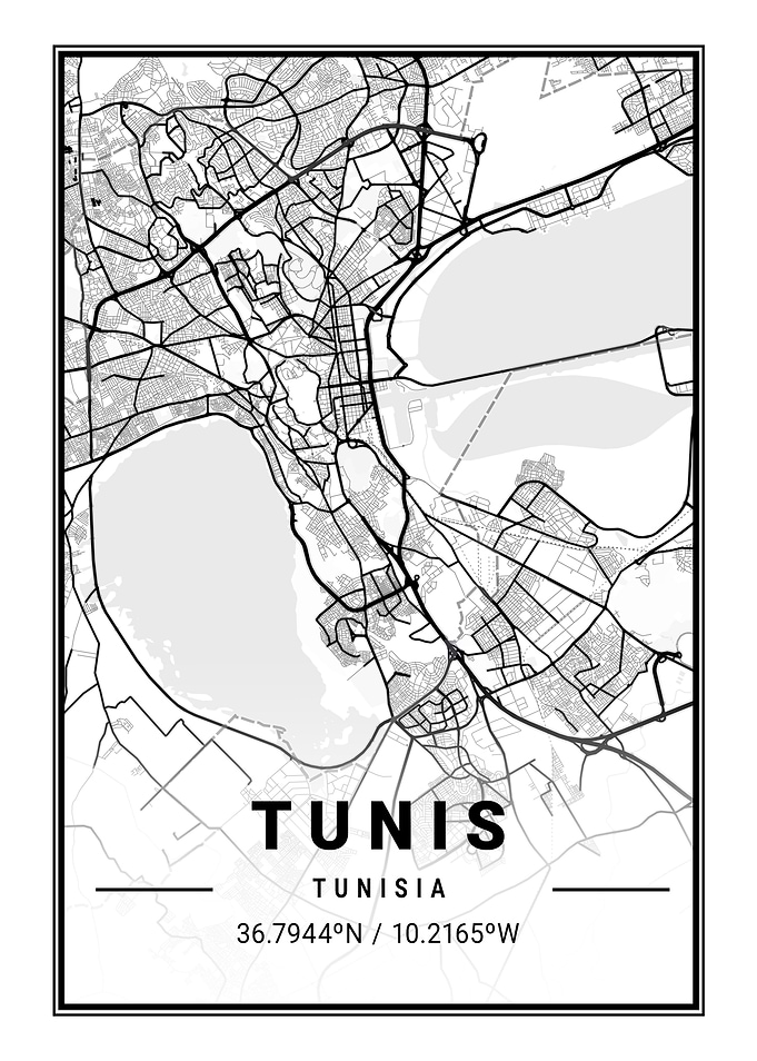 Tunis Light City Map