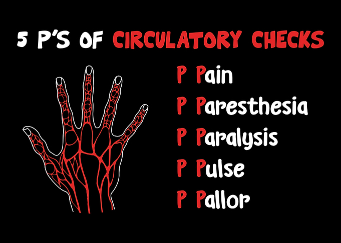 Hand With ItS Veins