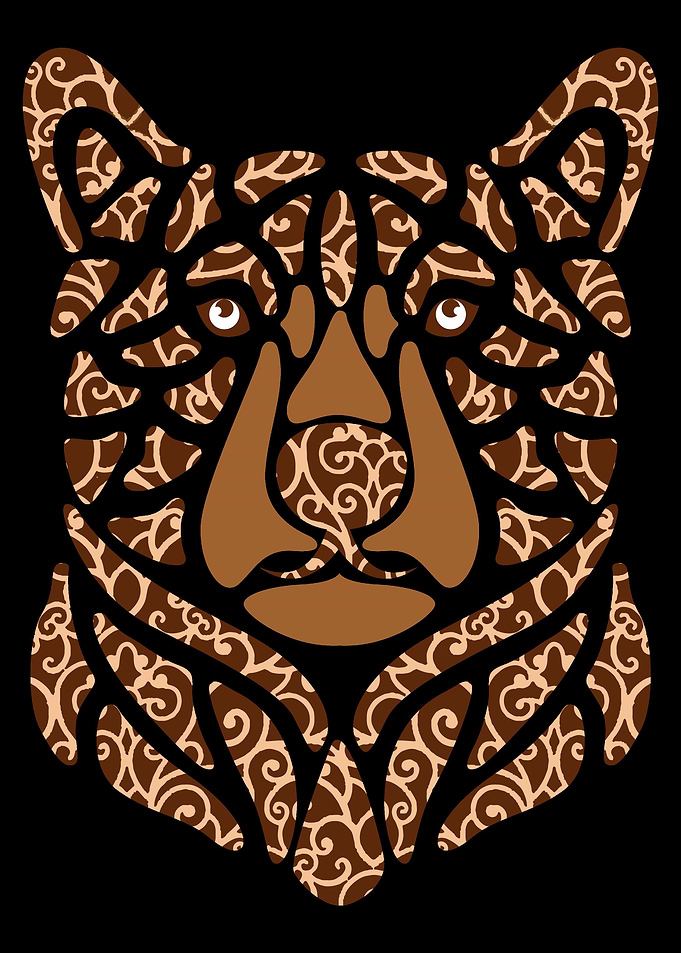 Brown Bear Nature Or Anima