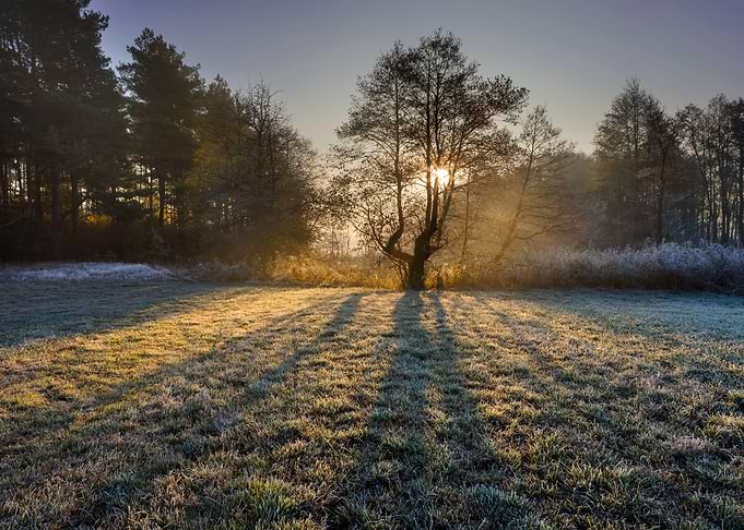 Frosty Frost Rural Season