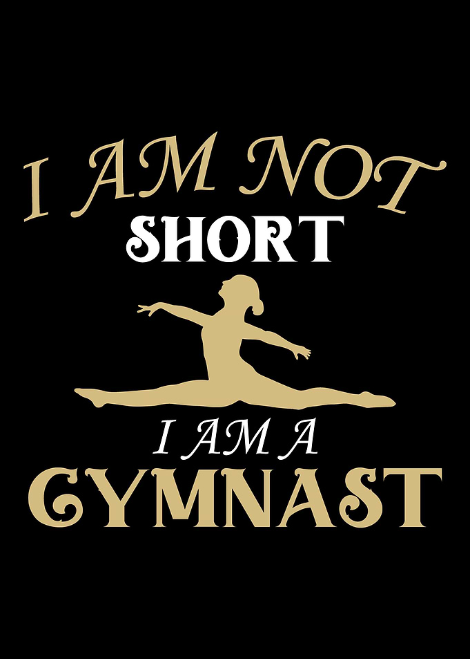 gymnastics Gym Fitness