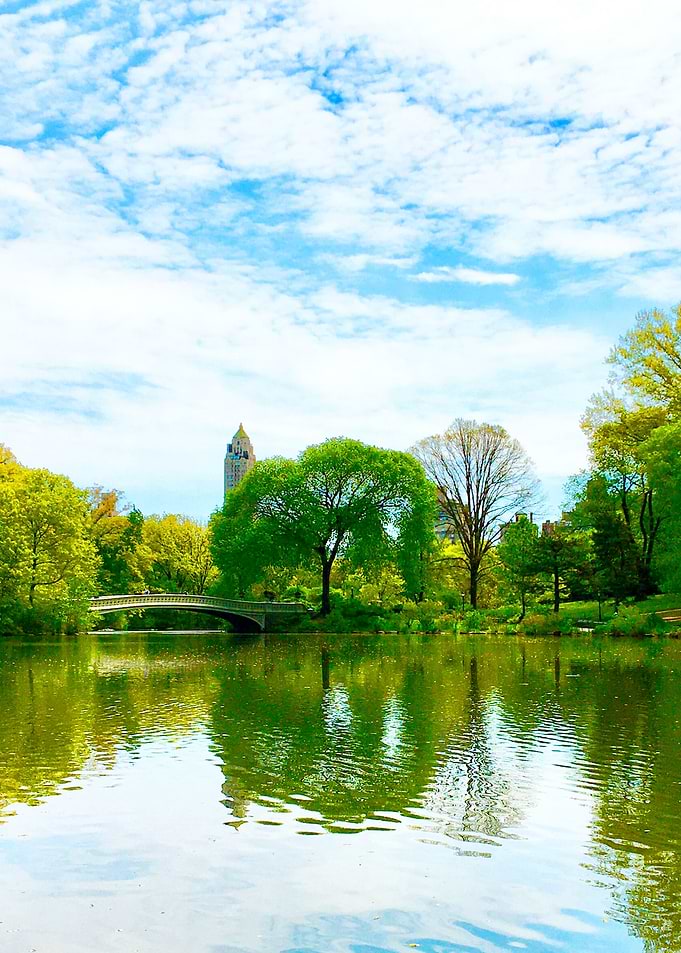 Central Park Lake Bridge