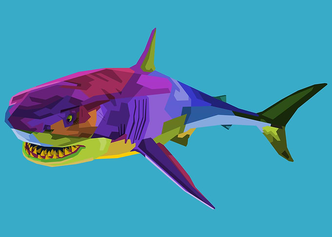 colorful shark on pop art