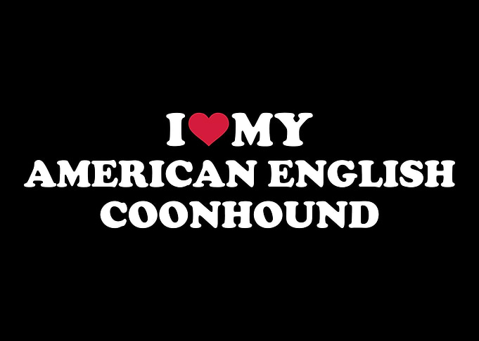 American English Coonhound
