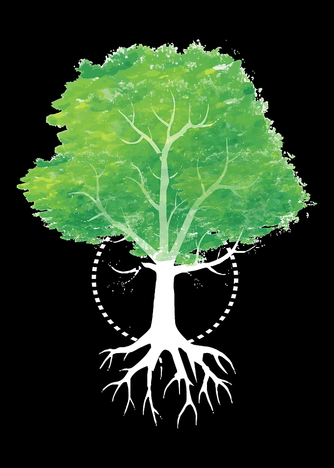 Tree Tattoo Tattoo Artist