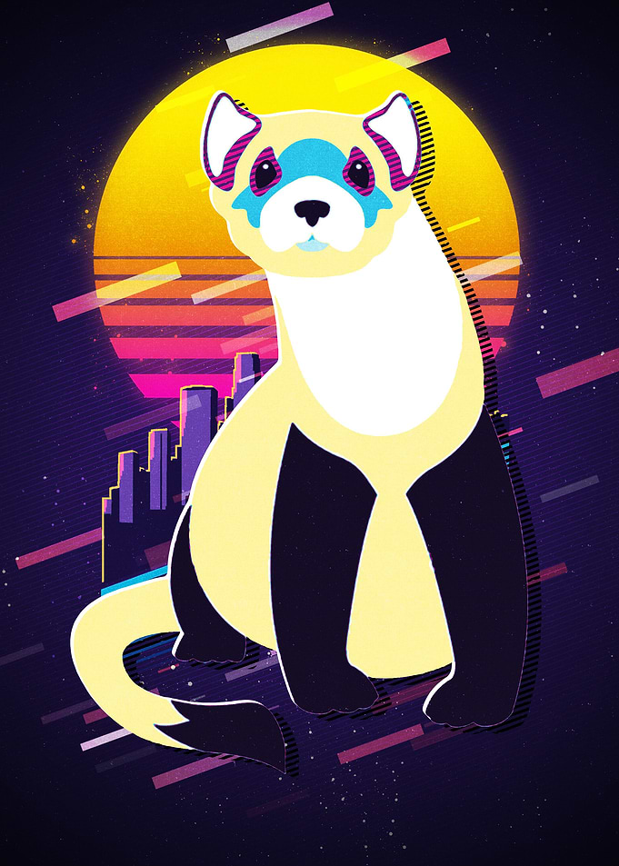 Blackfooted ferret