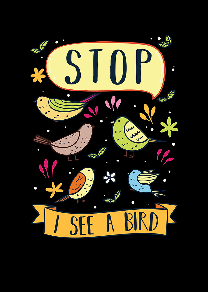 Bird Watching