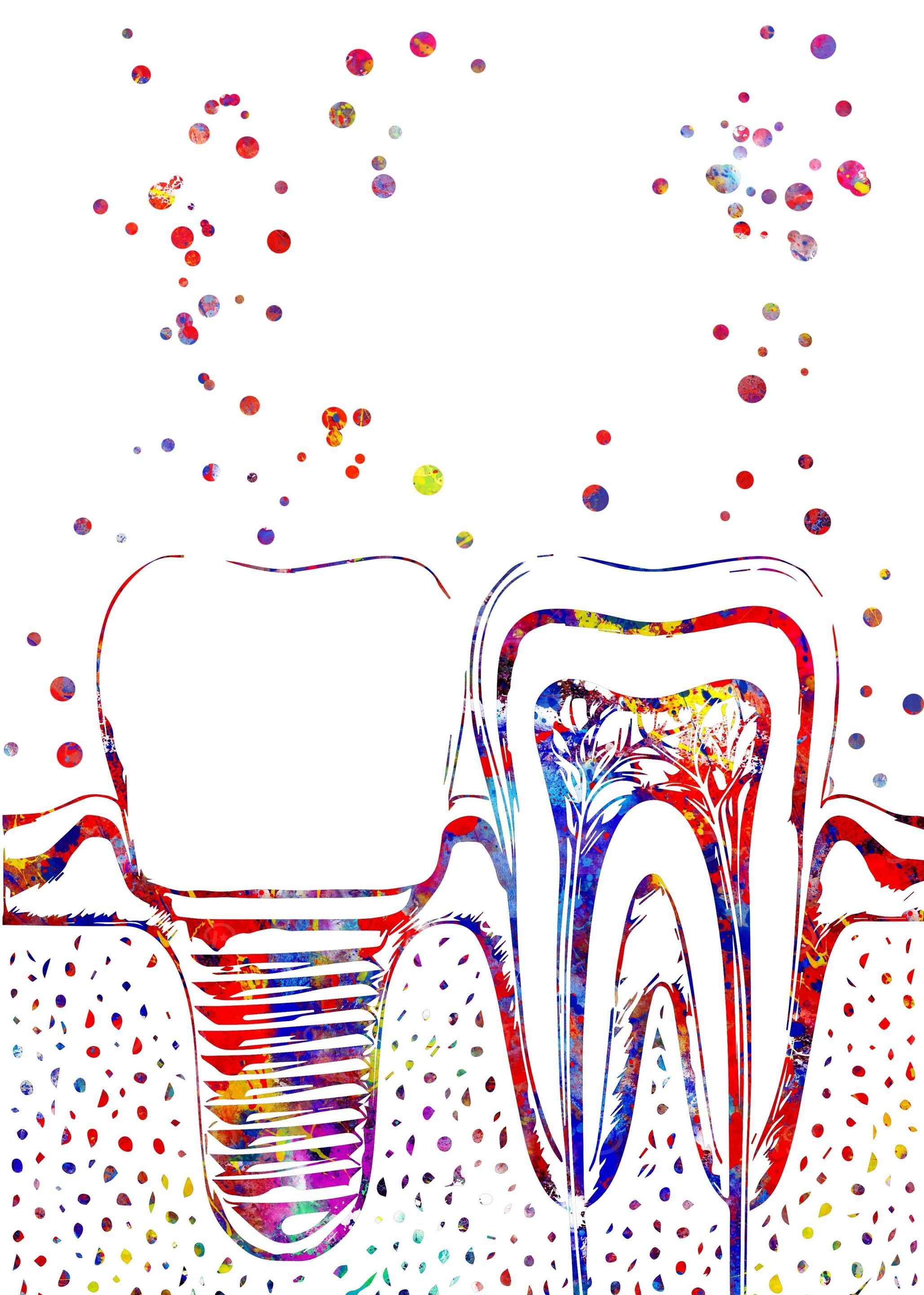 Human teeth and implant