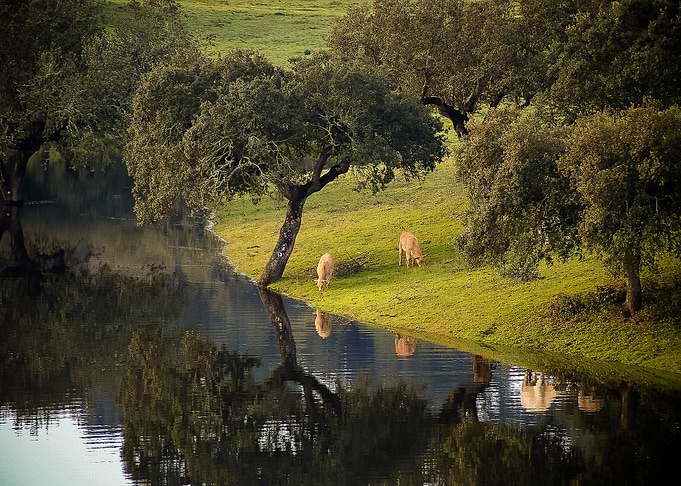 North of Portugal nature