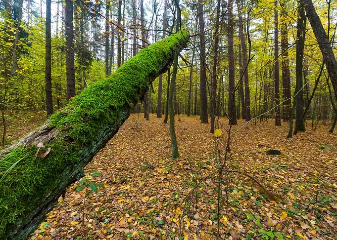 Autumn Landscape Poland Na