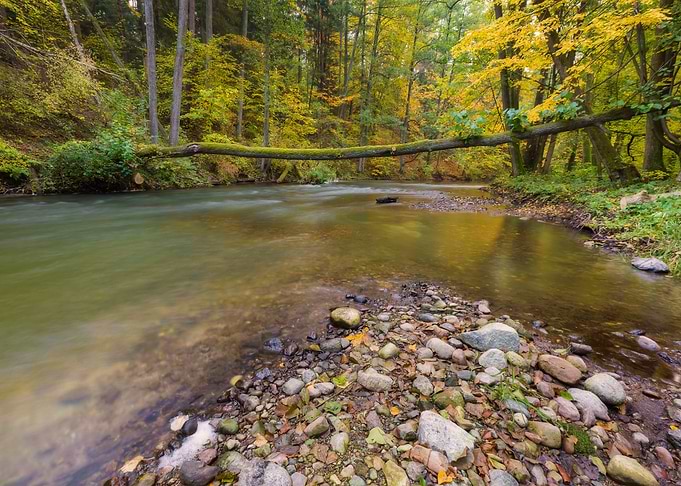 Season Landscape River Pol