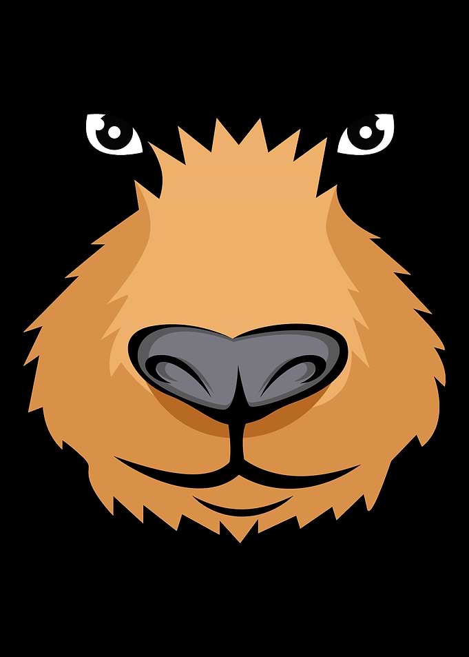 Black Bear Costume Mascot