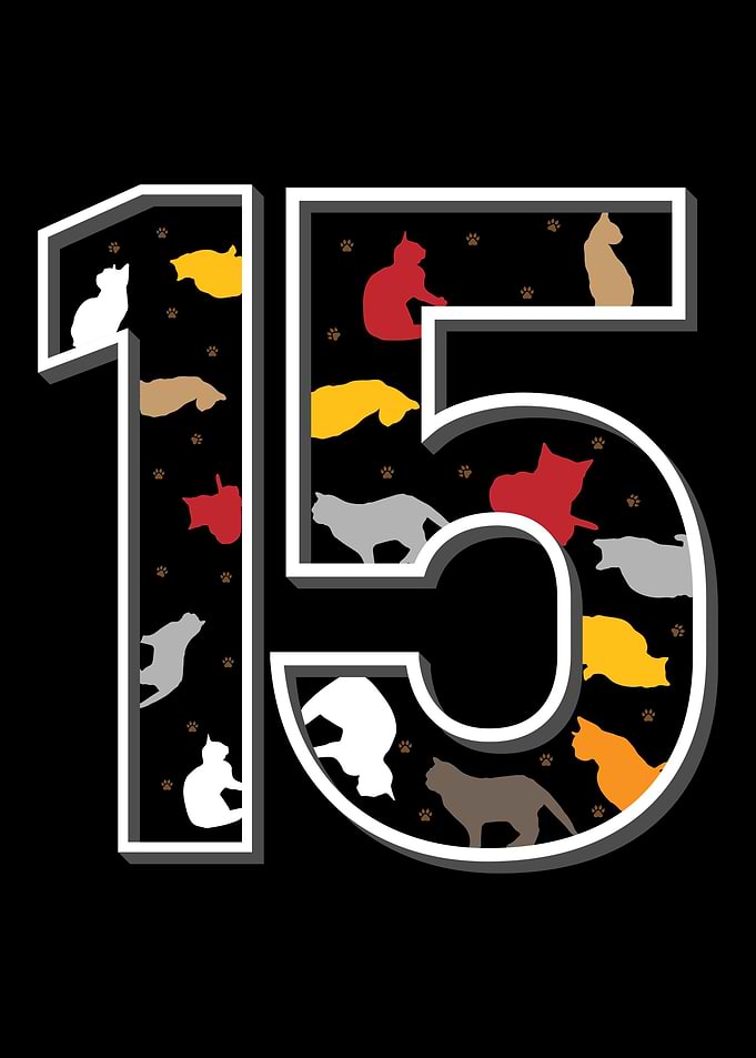 15th birthday cat gift