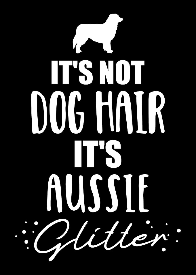 Australian Shepherd