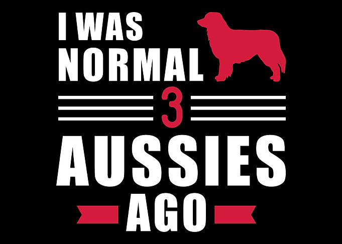 Australian Shepherd