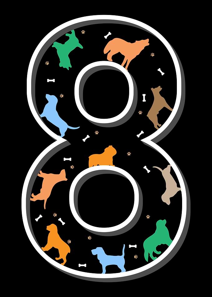 8th birthday dog