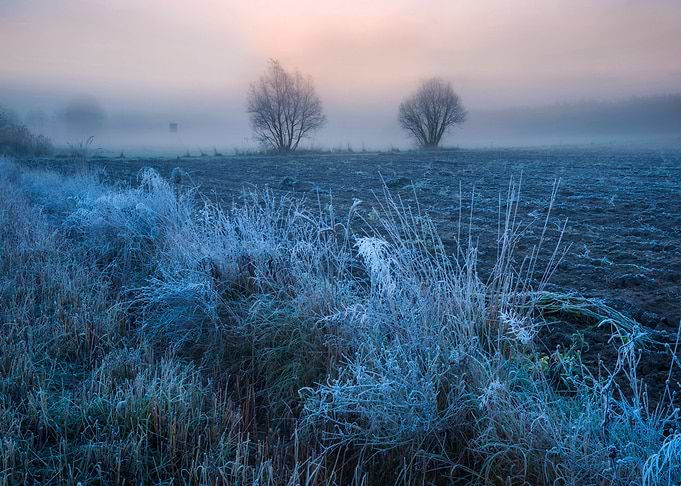 Frosty Frost Rural Season