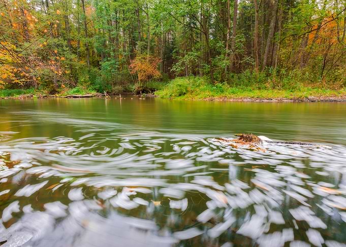 Scenery Scenic River Polan