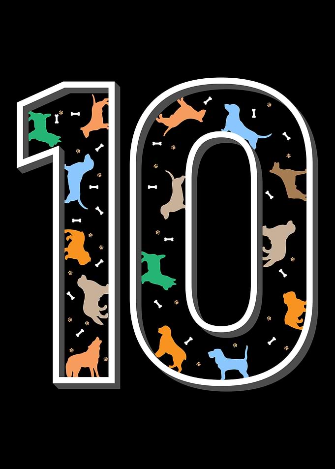 10th birthday dog