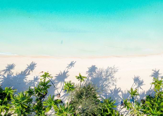 Paradise Below