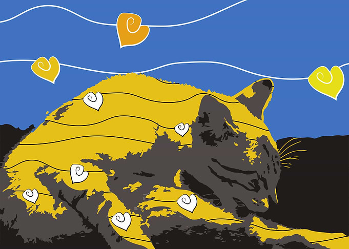 Yellow Cat