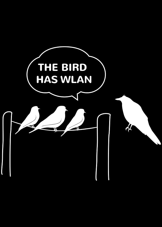 This Bird Has Wifi