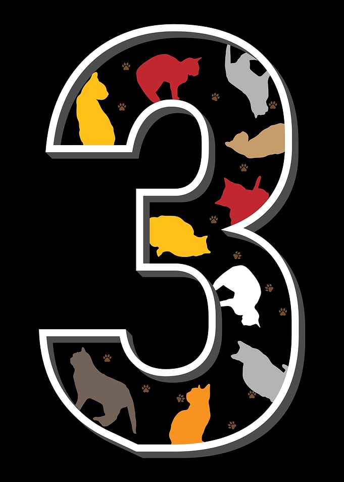 3 third birthday cats