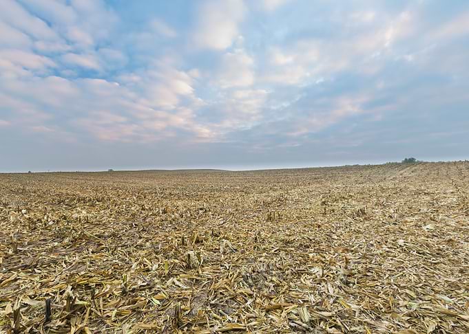 Nature Stubble Ground Fiel