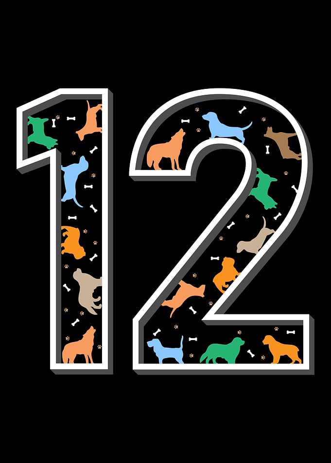 12 twelfth birthday dog
