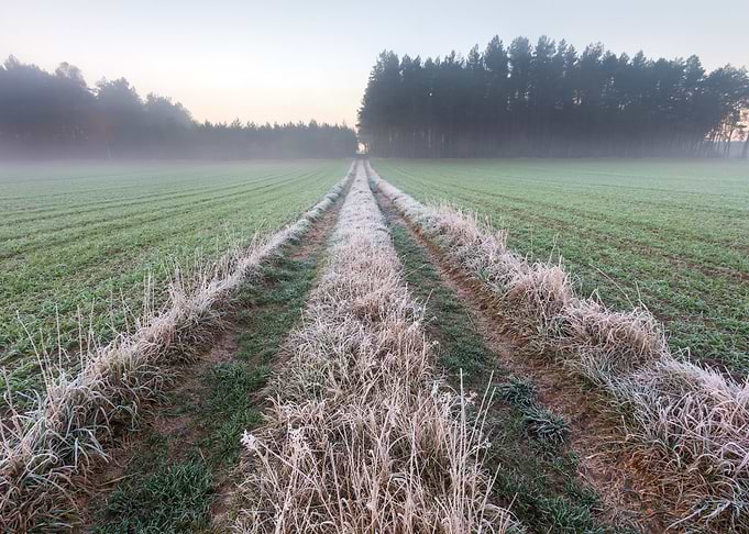 Frosty Frost Rural Season