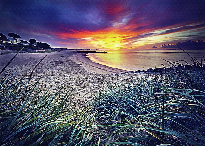 Lanscape