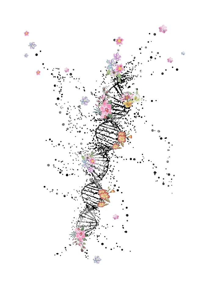 DNA molecule