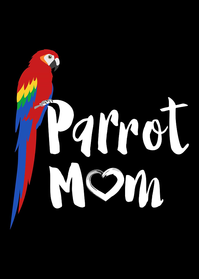 Colorful Parrot