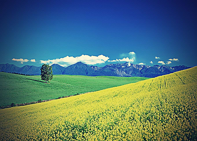 Lanscape