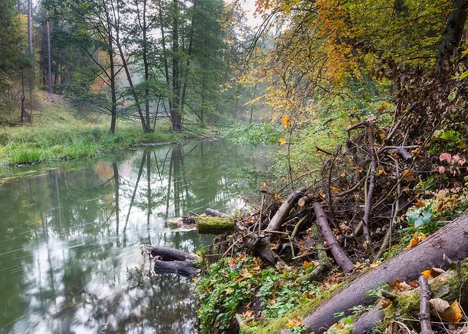 Season Landscape River Pol