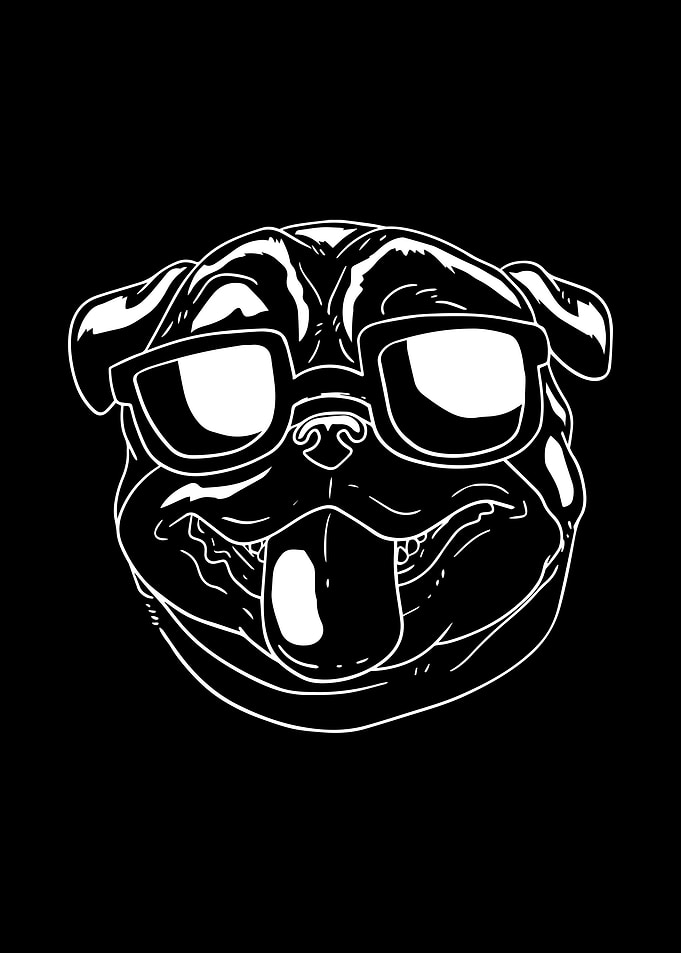 Pug Sunglasses Dog Owner