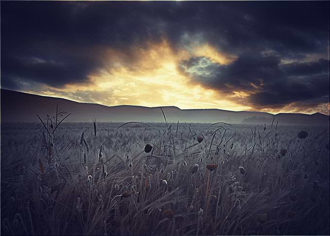 Lanscape