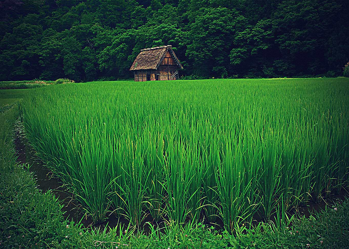Lanscape