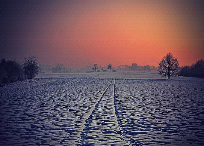 Lanscape