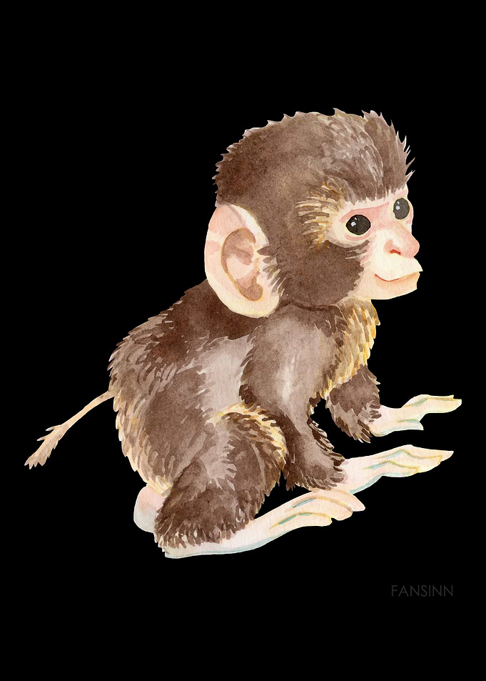 Monkey primate animal chil