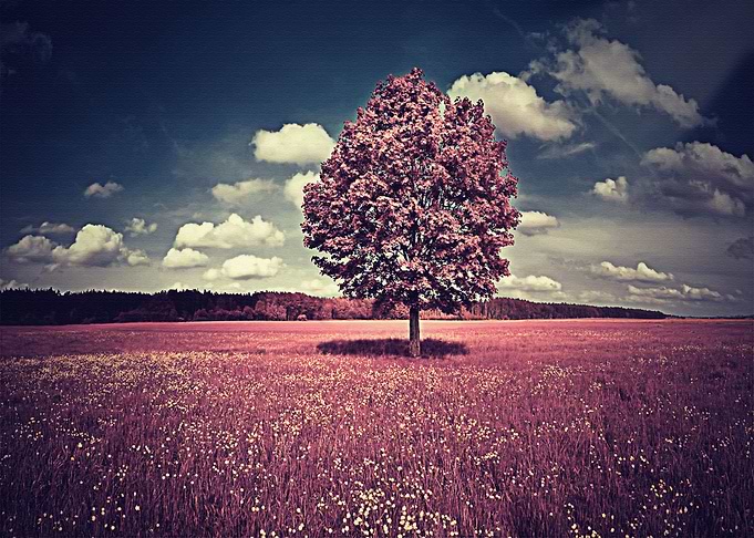 Lanscape