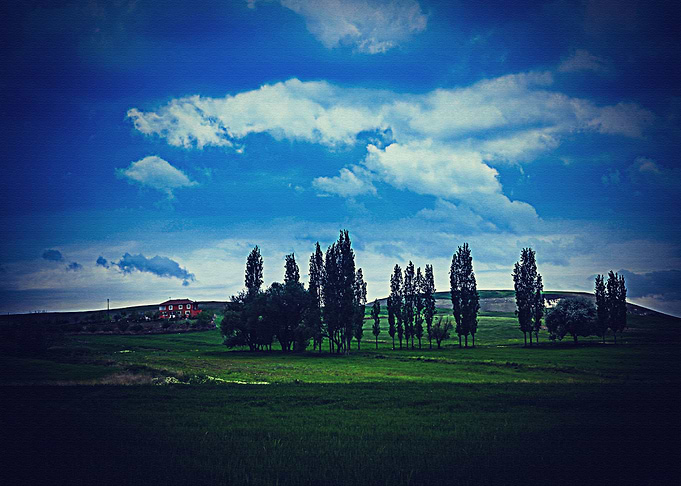 Lanscape