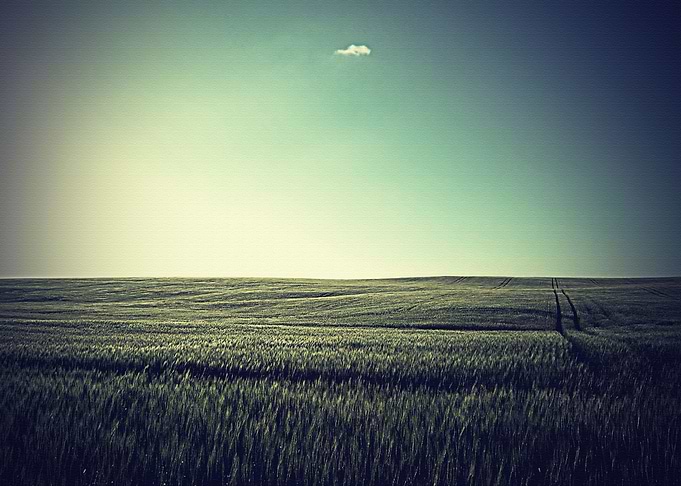 Lanscape